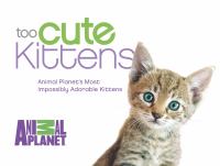 Too cute kittens : Animal Planet's most impossibly adorable kittens