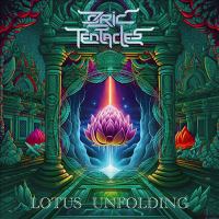 Lotus unfolding