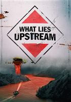 What lies upstream