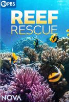 Reef rescue