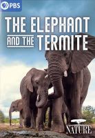 The elephant and the termite