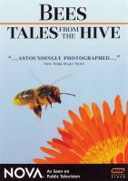 Bees : tales from the hive