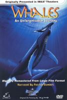 Whales : an unforgettable journey