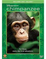 Chimpanzee