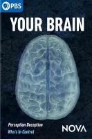 Your brain