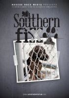 A southern fix