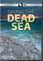 Saving the Dead Sea