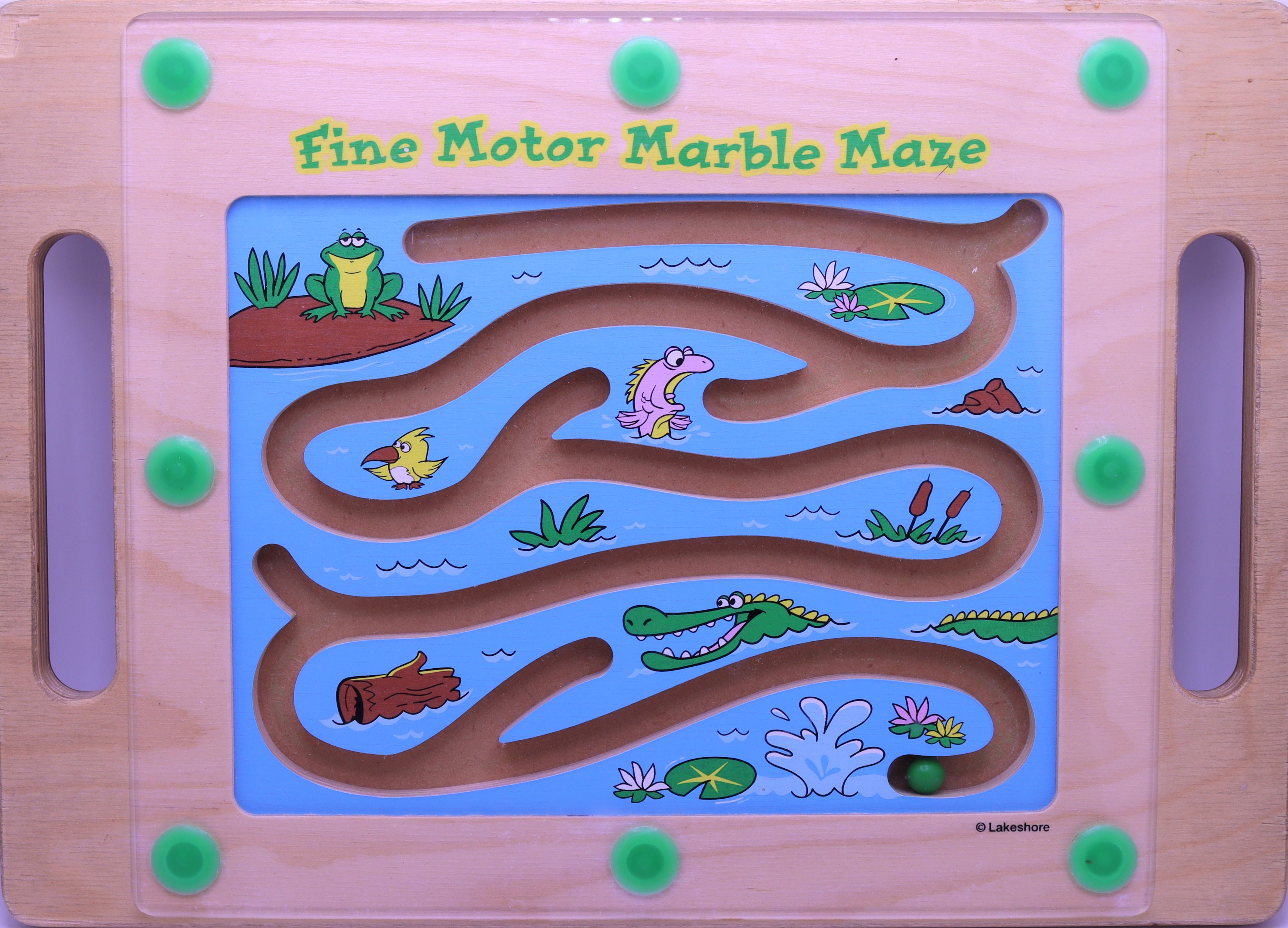 Swamp marble maze