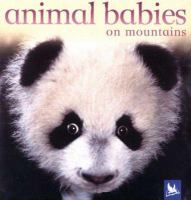 Animal babies on mountains