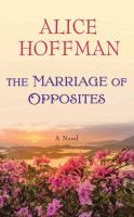 The marriage of opposites : a novel