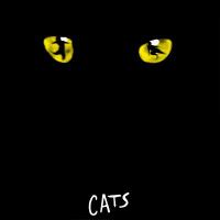 Cats : selections from the original Broadway cast recording
