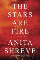 The stars are fire : a novel