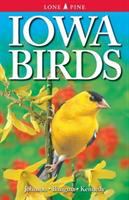 Iowa birds