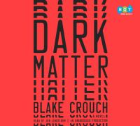 Dark matter : a novel