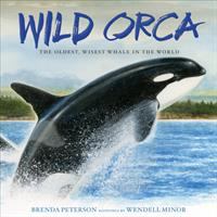 Wild orca : the oldest, wisest whale in the world