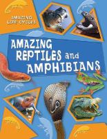 Amazing reptiles and amphibians