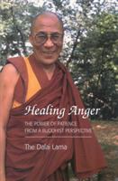 Healing anger : the power of patience from a Buddhist perspective