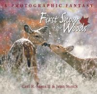 First snow in the woods : a photographic fantasy
