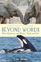 Beyond words : what elephants and whales think and feel