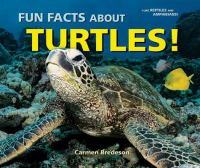 Fun facts about turtles!