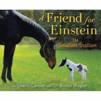 A friend for Einstein : the smallest stallion