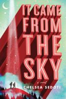 It came from the sky : a novel