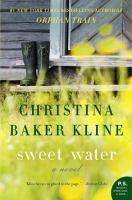 Sweet water : a novel