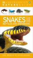 Snakes and other reptiles and amphibians
