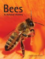 Bees : a natural history