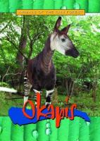 Okapis