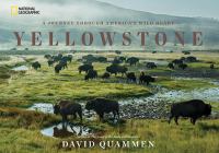 Yellowstone : a journey through America's wild heart