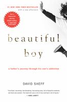 Beautiful boy : a father's journey through his son's meth addiction