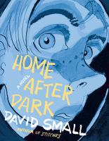 Home after dark : a novel