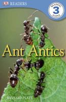 Ant antics