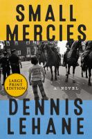 Small mercies : a novel