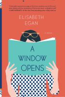 A window opens : a novel