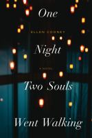 One night two souls went walking : a novel