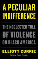 A peculiar indifference : the neglected toll of violence on black America