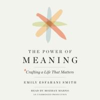 The power of meaning : crafting a life that matters