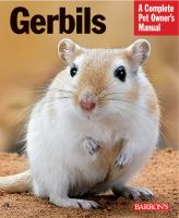 Gerbils : everything about purchase, care, and nutrition