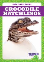 Crocodile hatchlings