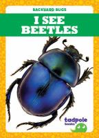 I see beetles