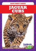 Jaguar cubs
