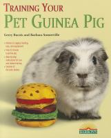 Training your pet guinea pig