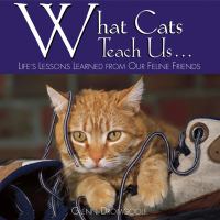 What cats teach us-- : life's lessons learned from our feline friends