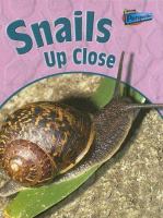 Snails up close