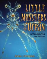 Little monsters of the ocean : metamorphosis under the waves