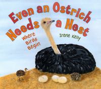 Even an ostrich needs a nest : where birds begin