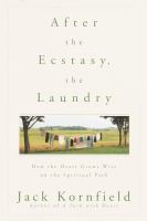 After the ecstasy, the laundry : how the heart grows wise on the spiritual path