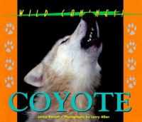 Coyote